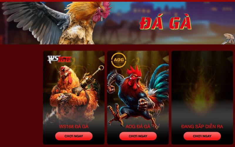 Hello88 Samwood - link vào nhà cái hello 88 nhà cái uy tín hello88.com 11 Đá gà online
